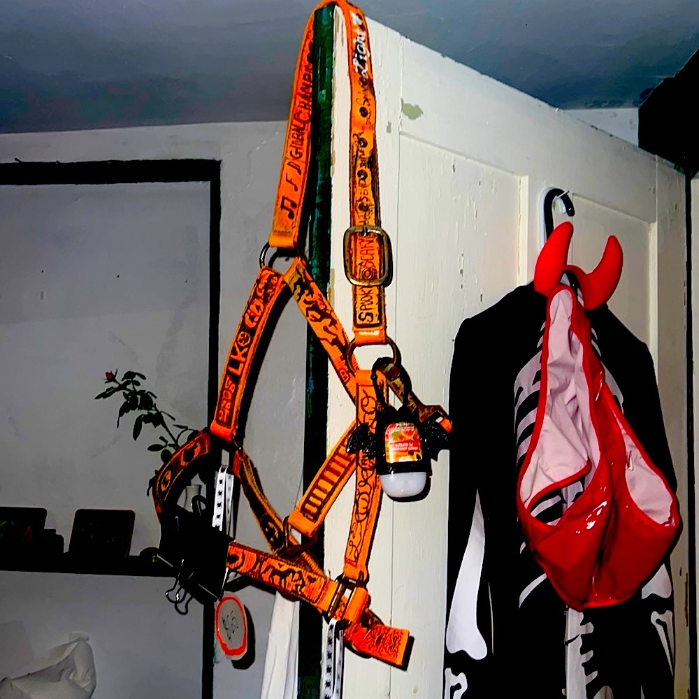 Halloween Horse Halter **SPOOKY** 🖤🤍🐴🎃🎃🎃
